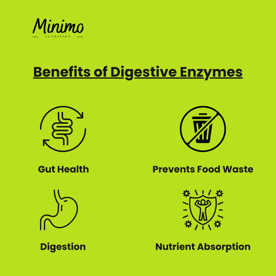 Minimo Nutrition Digestive Enzyme Pro Blend Supplement for Healthy Digestion Benefits