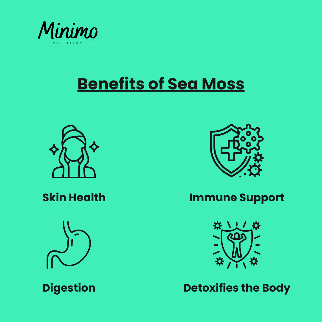 Sea Moss with Bladderwrack and Burdock Root Supplement Benefits