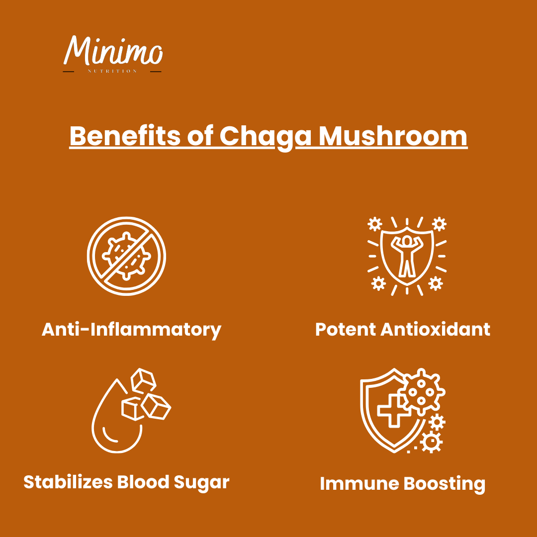 Minimo Nutrition Organic Chaga Mushroom Supplement Benefits