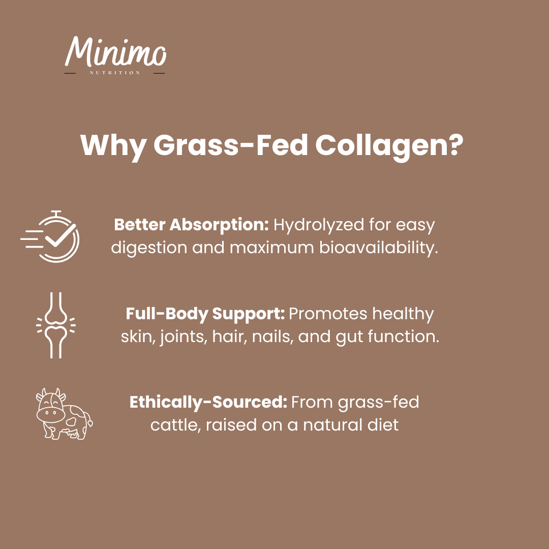 Minimo Nutrition Chocolate Grass-Fed Collagen Peptides Powder Supplement for Hair, Skin, Nails, & Joints