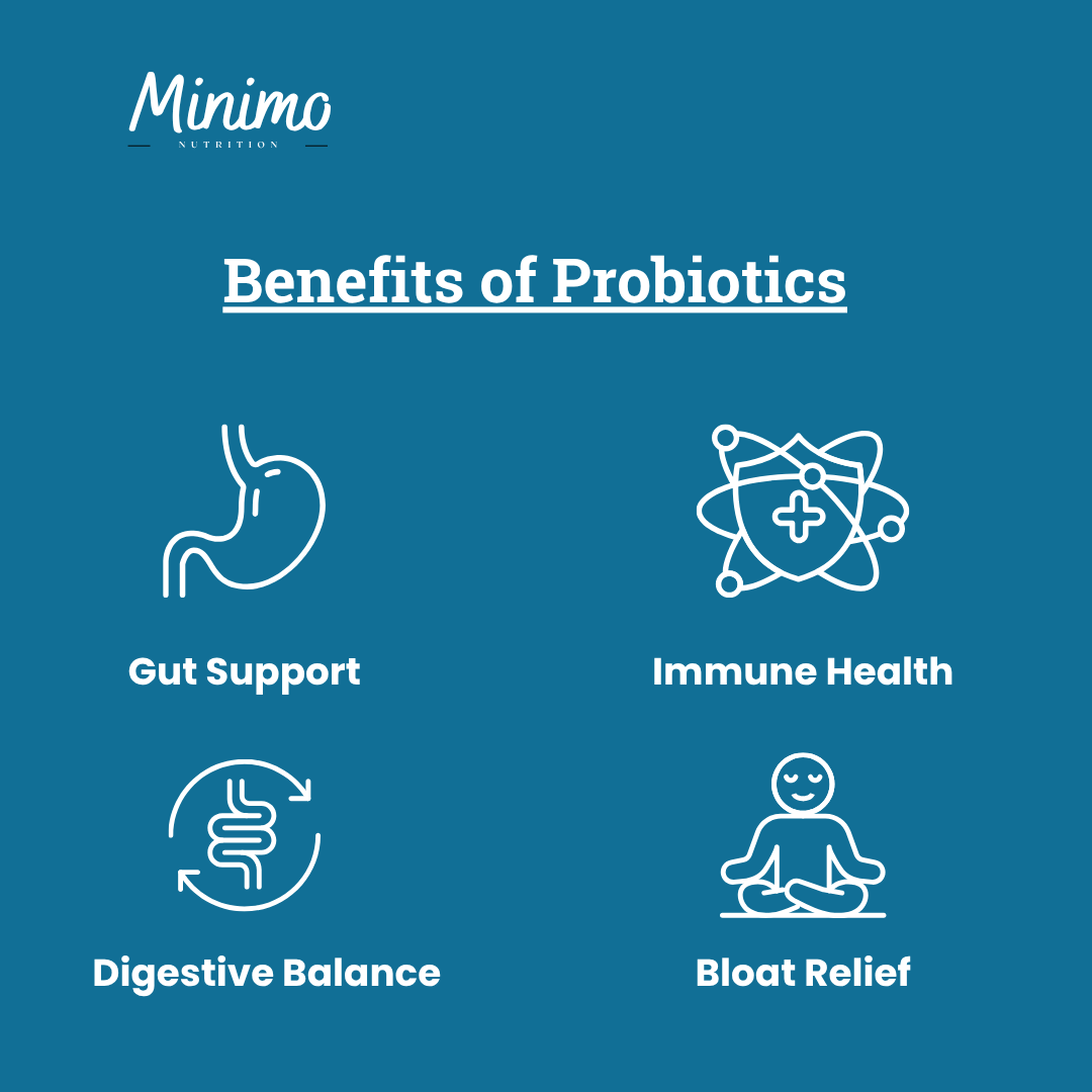 Minimo Nutrition Probiotic 40 Billion with Prebiotics Supplement Benefits