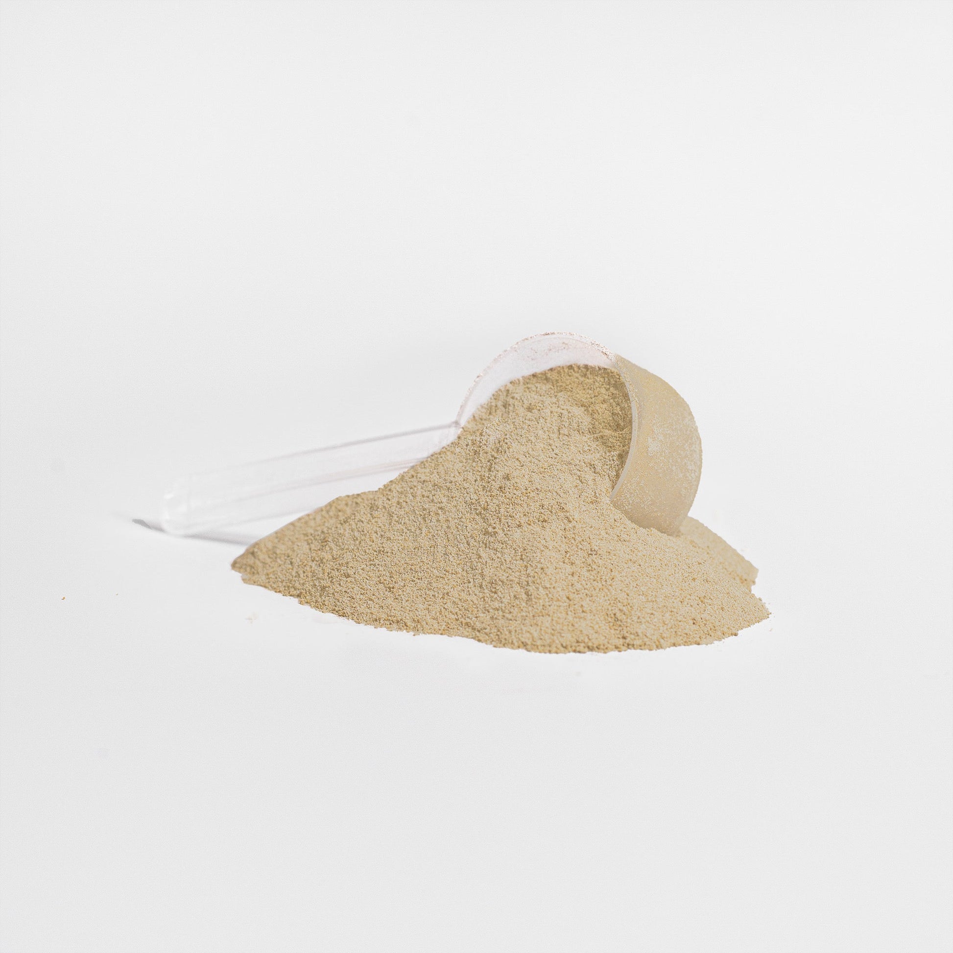 Vanilla Vegan Pea Protein Isolate Powder - Non Whey Protein Powder